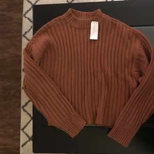 American Eagle Crop Sweater